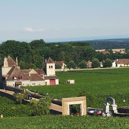 דירות Perrigny-les-Dijon Appt Proche Des Vignes מראה חיצוני תמונה